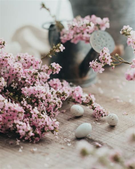 Exploring the Connection Between Ostara and Easter: Pagan and Christian Traditions